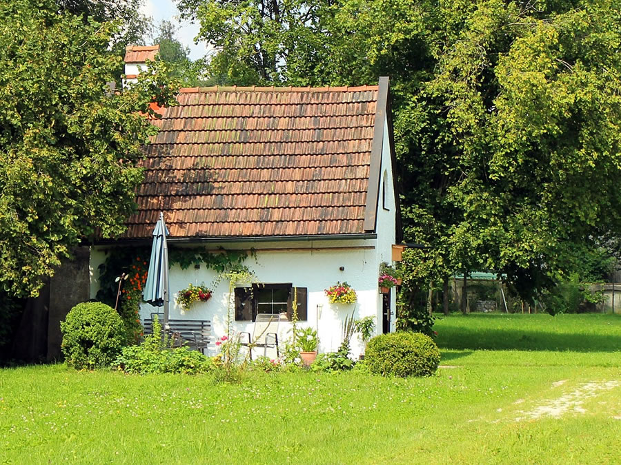 House Forest